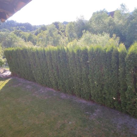 Pensiunea Floro Întorsura Buzăului Buitenkant foto