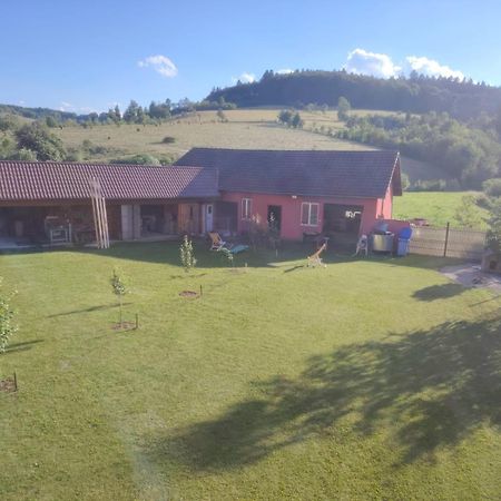 Pensiunea Floro Întorsura Buzăului Buitenkant foto