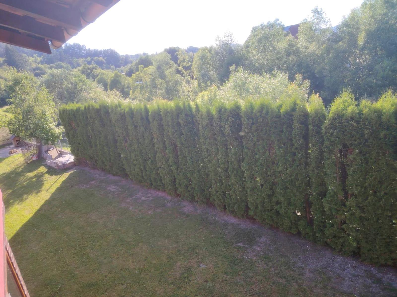 Pensiunea Floro Întorsura Buzăului Buitenkant foto