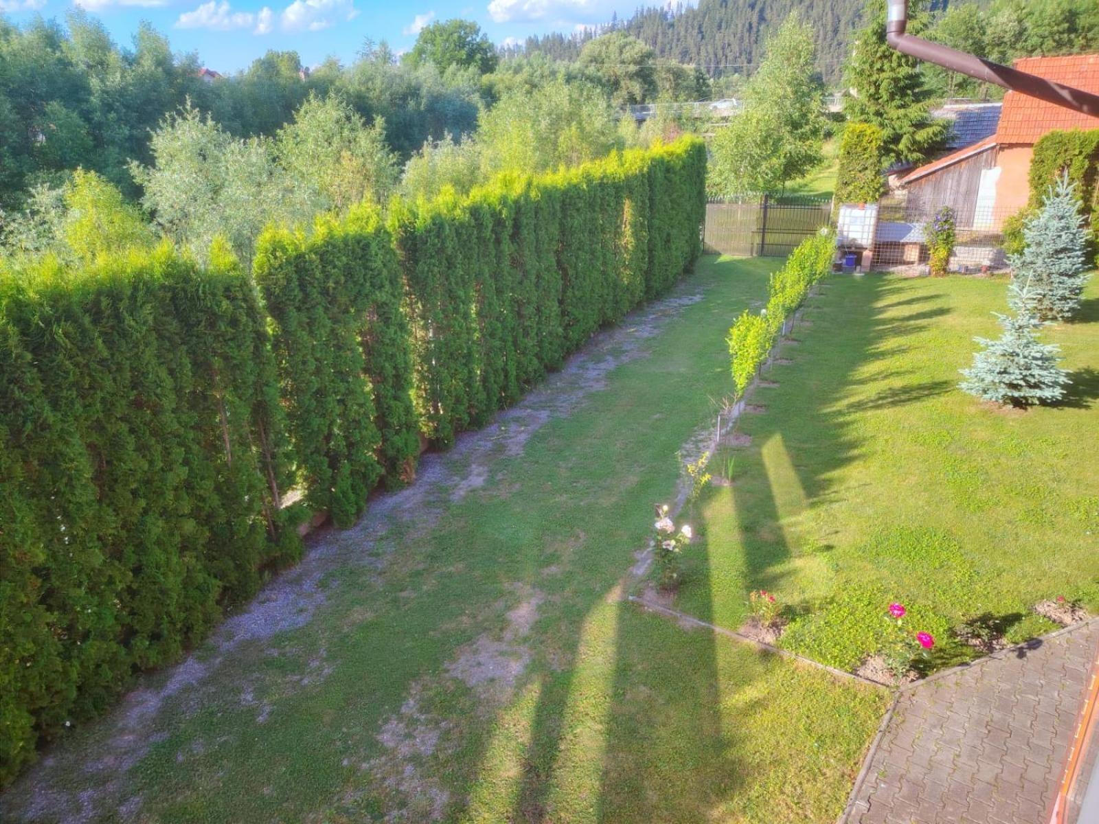 Pensiunea Floro Întorsura Buzăului Buitenkant foto